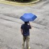 Self Clip Auto UV Umbrella - Image 19